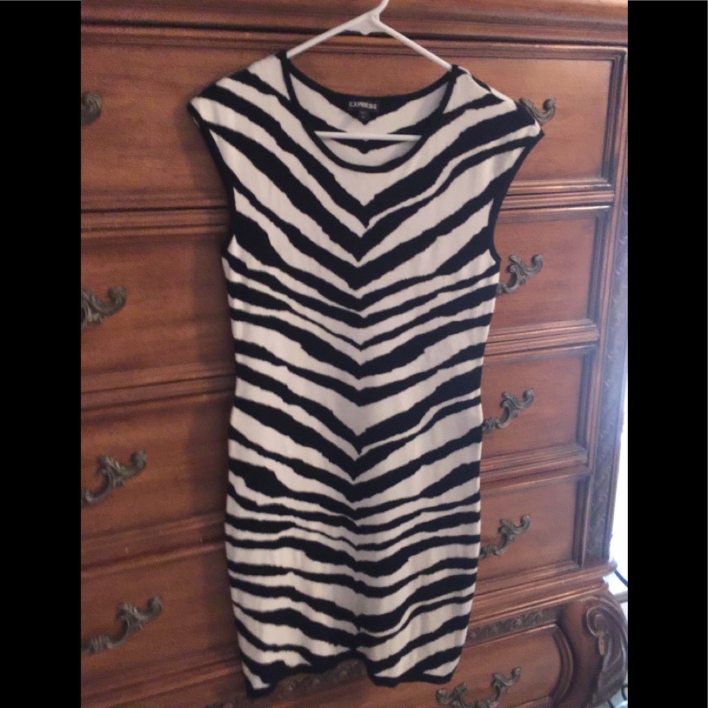 Express sweater dress